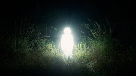 Chronicles of a Wandering Saint (2024)